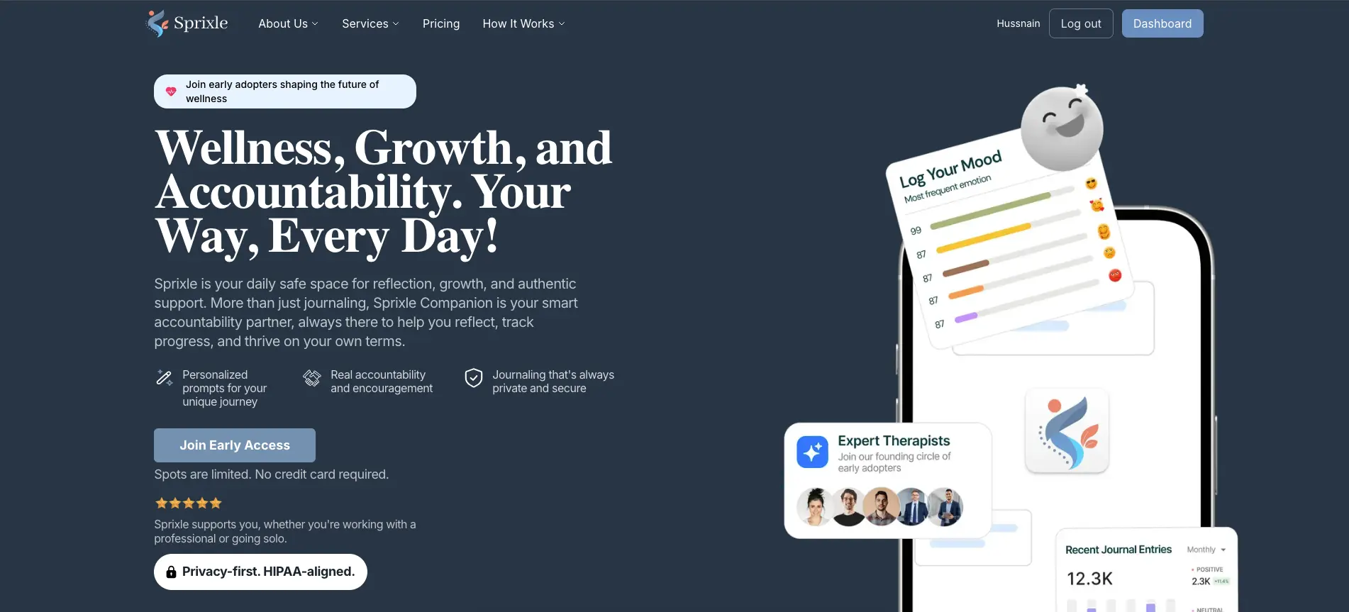 Sprixle platform preview